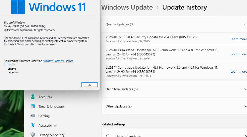 Overcoming KB5050009 Update Errors